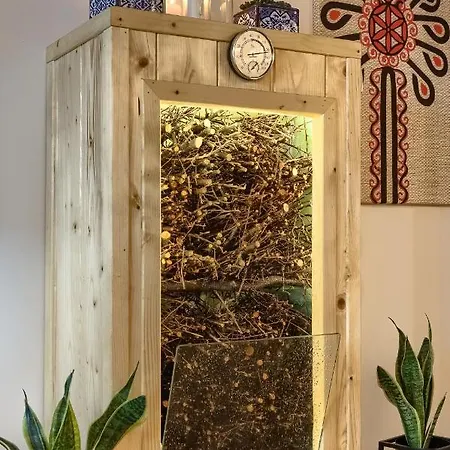 Uroczy Zakatek Daire *